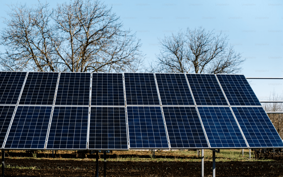 Rise Energy: What to Do with Excess Solar Power