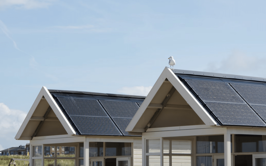 ROI Solar Calculator: How Rise Energy Can Help You Determine Your Savings